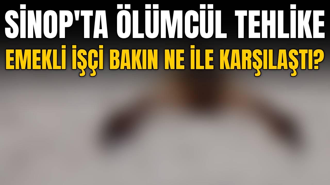 Otomatik Taslak