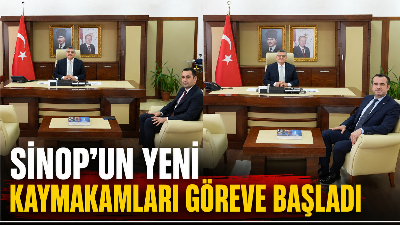 Otomatik Taslak
