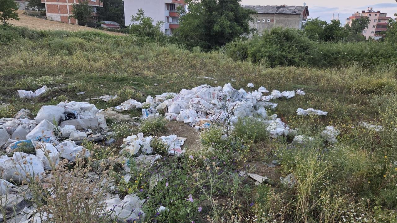 Sinop’ta çevre kirliliğine neden olan firmaya yaptırım