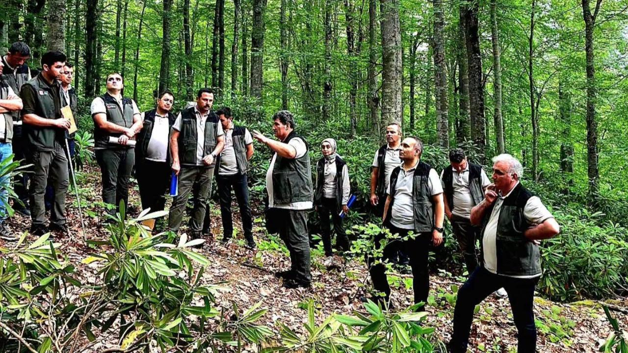 Sinop’ta geleceğin ormanları için "Doğal Gençleştirme" tatbikatı