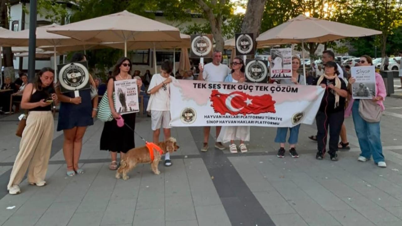 Sinop'ta sokak hayvanları için tek ses oldular