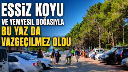 Sinop'un doğa harikasında yaz hareketliliği