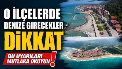 Sinop'un iki ilçesinde vatandaşlara deniz uyarısı