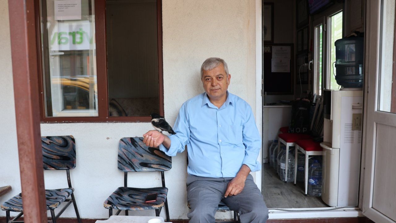 Taksicilerin şefkati saksağan yavrusunu duraktan ayırmadı