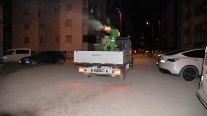 Türkeli'de haşerelere karşı yoğun mesai