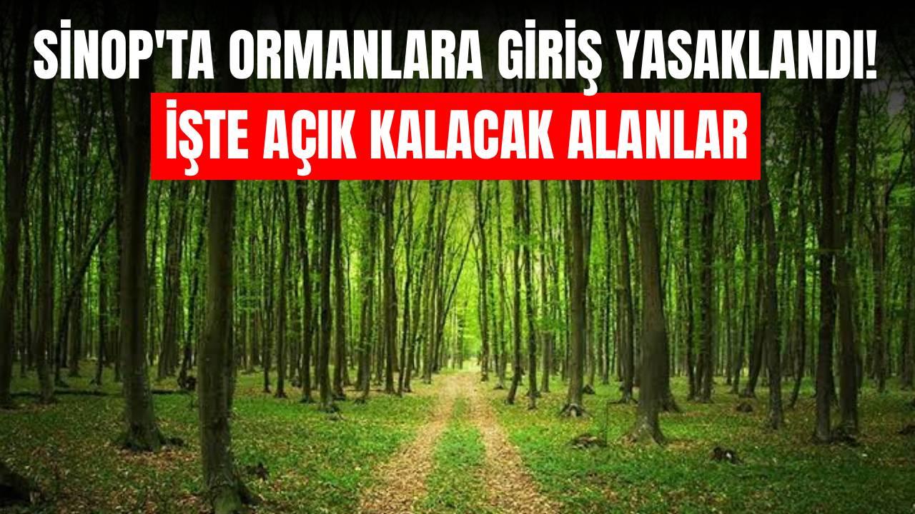 Valilik açıkladı: Sinop'ta orman yangınlarına karşı sıkı tedbirler