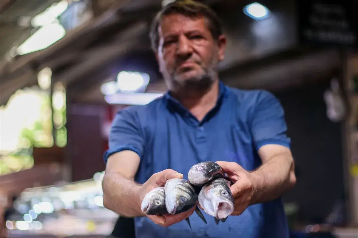 Türkiye balık ihracatında rekor kırdı